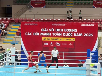  312 VĐV tranh tài tại Giải vô địch Boxing các đội mạnh toàn quốc 2026