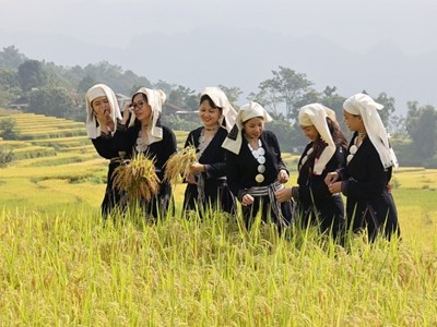 Xây dựng nông thôn Tuyên Quang xanh, hiện đại, giàu bản sắc văn hóa