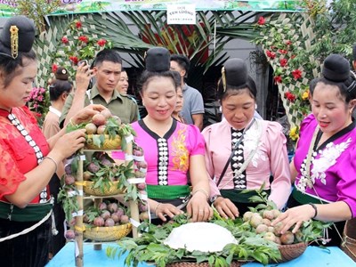 Nâng tầm giá trị mận, lan tỏa thương hiệu nông sản Sơn La 