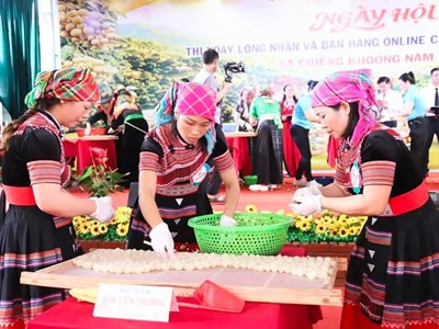 Mở lối đưa đặc sản nhãn Chiềng Khoong vươn xa bằng nền tảng số
