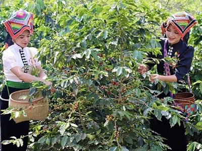Sơn La thẩm định kết quả xác định thôn vùng đồng bào dân tộc thiểu số và miền núi