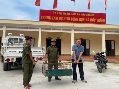 Lào Cai: Xã Hợp Thành ra quân bắt chó thả rông, lập lại trật tự nơi công cộng