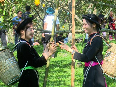 Rộn ràng chuỗi hoạt động “Hồng Thái với Mùa thu Tháng Tám”