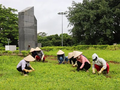 “Chiến dịch Xanh” góp sức gìn giữ di tích Đồi A1