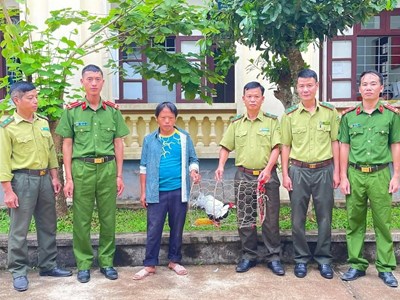 Người dân Mường Chà tự nguyện giao nộp cá thể gà lôi trắng quý hiếm