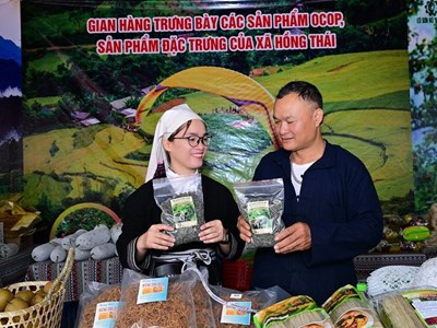 Tuyên Quang đặt mục tiêu có hơn 1.850 hợp tác xã vào năm 2030