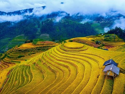 Lào Cai hướng tới xây dựng hệ sinh thái du lịch thông minh
