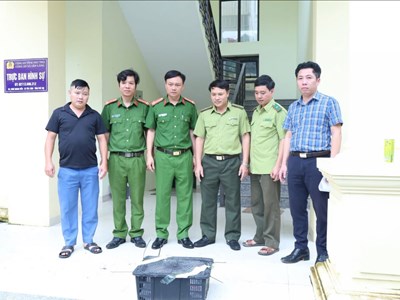 Phú Thọ: Người dân giao nộp cá thể rắn nghi hổ mang chúa