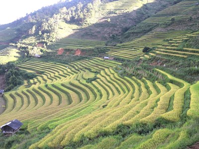 Phát triển du lịch Mù Cang Chải gắn với bảo tồn văn hóa, cảnh quan