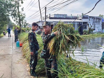 Cán bộ, chiến sĩ xã Vĩnh Thuận hỗ trợ người dân thu hoạch lúa ngập úng