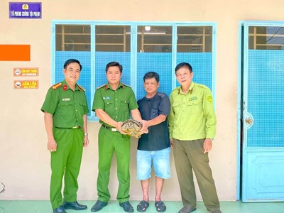 Người dân An Giang tự nguyện giao nộp rùa đất lớn và Rồng Nam Mỹ