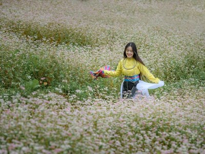 Lũng Cú sẵn sàng đón du khách mùa hoa tam giác mạch