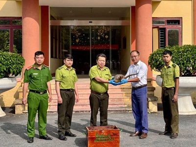Bàn giao cá thể tê tê Java quý hiếm cho Vườn quốc gia Cúc Phương