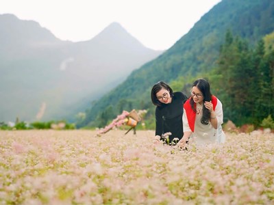 Phố Bảng - điểm hẹn mùa hoa Tam giác mạch