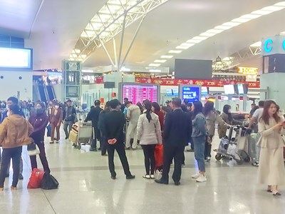 Cục Hàng không sẽ kiểm tra giá vé máy bay