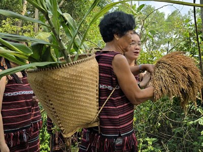 Sayangva - Lễ hội quan trọng và đặc sắc của người Chơ Ro