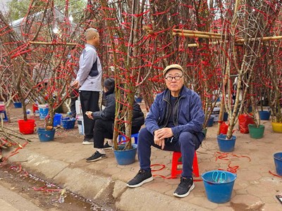 Chợ đầu mối phía Nam nhộn nhịp mua bán hoa ngày cận Tết