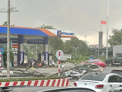 Bão số 3 gây mưa to, gió lớn ở nhiều tỉnh miền Bắc