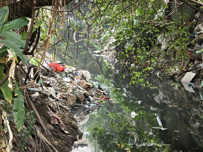 Hà Nội: 17 năm chịu đựng ô nhiễm khi sống cạnh mương Kẻ Khế