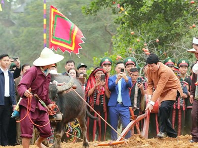 Nhiều hoạt động đặc sắc tại chương trình “Sắc xuân trên mọi miền Tổ quốc” năm 2026