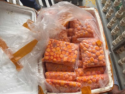 Thu giữ hơn 12 tấn trứng non, sụn gà, mỡ động vật không nguồn gốc xuất xứ