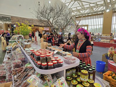 Hội chợ Mùa Xuân 2026: Nơi đặc sản núi rừng vươn tầm quốc tế