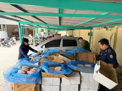 Hà Nội: Phát hiện gần 2 tấn xương lợn không rõ nguồn gốc