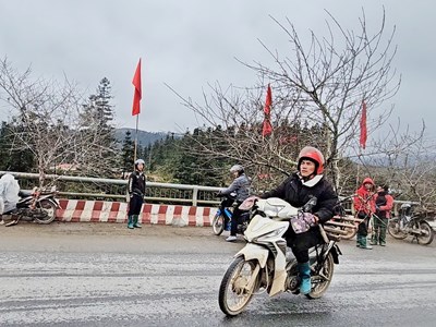 Chợ hoa đào nơi sườn đèo Ô Quy Hồ