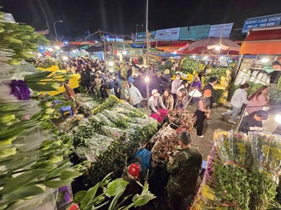  Hối hả chở Xuân về phố 