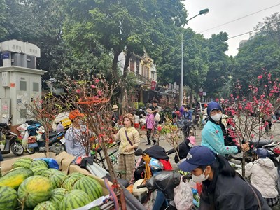 Hồn Tết quê len lỏi giữa nhịp sống đô thị hiện đại