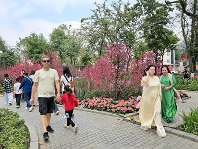  Thảnh thơi dạo phố Hà Nội ngày giáp Tết