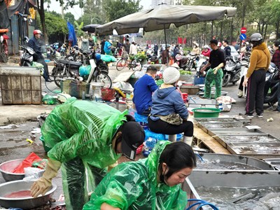 Dân tình hối hả “săn cá” giải ngấy sau Tết