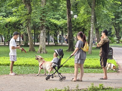 Nỗi bất an của người dân khi đến Công viên Thống Nhất
