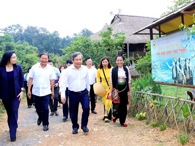 Chuẩn bị cho công tác tiếp nhận, bàn giao Làng Văn hóa - Du lịch các dân tộc Việt Nam 
