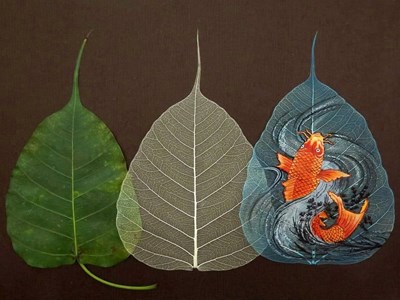 Biến lá bồ đề thành tác phẩm nghệ thuật giá trị
