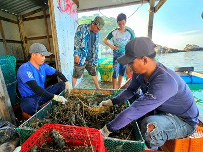 Dự kiến sẽ đón 40 ngàn lượt du khách