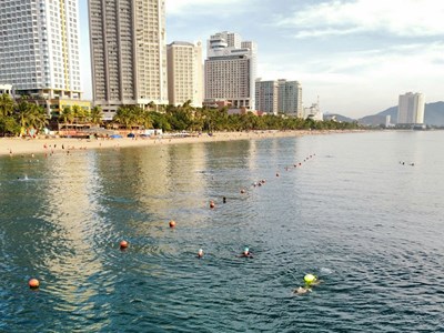 Nha Trang: 500 VĐV tham gia Giải bơi SeaStar Nha Trang Bay 2024