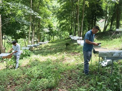 Hướng đến nông nghiệp kết hợp du lịch xanh