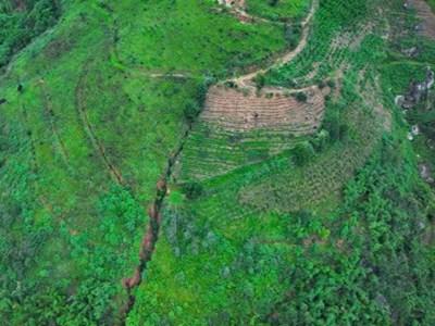 Lâm Đồng: Chính quyền thông tin về vết nứt kéo dài cả 100m trên đồi