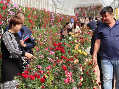 Cơ hội bứt phá cho du lịch canh nông Lâm Đồng