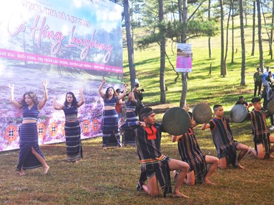 Sẽ tổ chức Ngày hội Cỏ hồng và giải đua ngựa không yên chào mừng Festival Hoa Đà Lạt