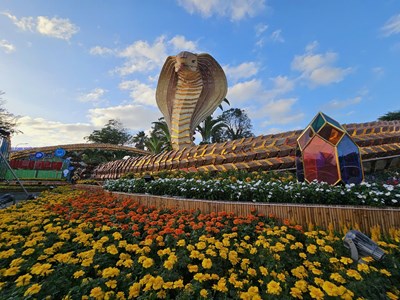 Phú Yên: Đường hoa Xuân sẽ là điểm nhấn phục vụ người dân và du khách