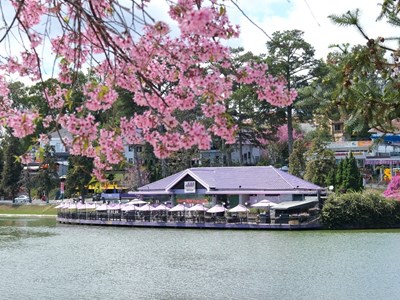 Sức hút du lịch Đà Lạt qua các dự án phim 