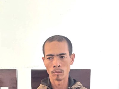 Gia Lai: Tạm giữ thủ phạm chặt phá vườn cây của hộ dân ở Mang Yang