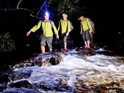 Những người thầm lặng giữ rừng Giáng hương