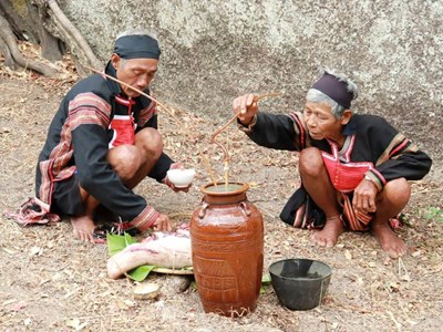 Gia Lai: Hội thảo khoa học “Vua Lửa - Huyền thoại và hiện thực”