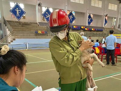 Gia Lai: Đẩy mạnh tuyên truyền phòng - chống bệnh dại 