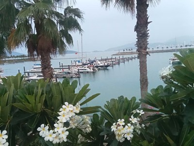 Khánh Hòa: Đình chỉ hoạt động bãi tắm đêm do chưa được cấp phép