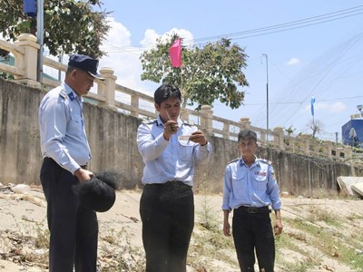 Gia tăng các vụ bẫy, bắt chim yến trái phép 