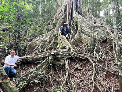 Gia Lai: Phát triển du lịch Vườn Quốc gia Kon Ka Kinh